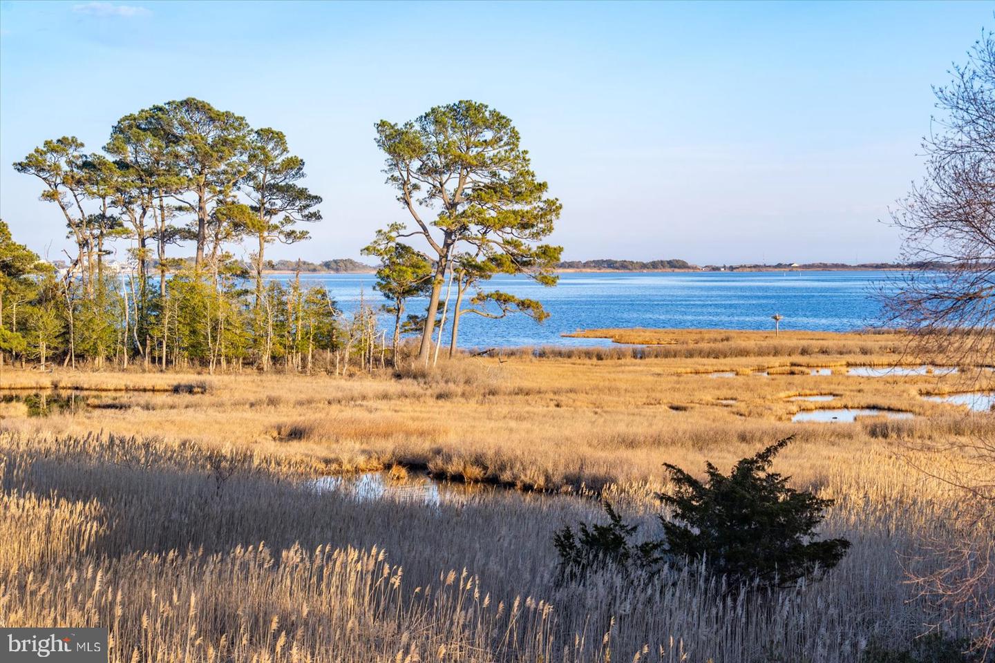 DESU2105552-804578483252-2026-03-21-21-24-25 38312 Ocean Vista Dr #1082 | Selbyville, DE Real Estate For Sale | MLS# Desu2105552  - Jack Lingo REALTOR