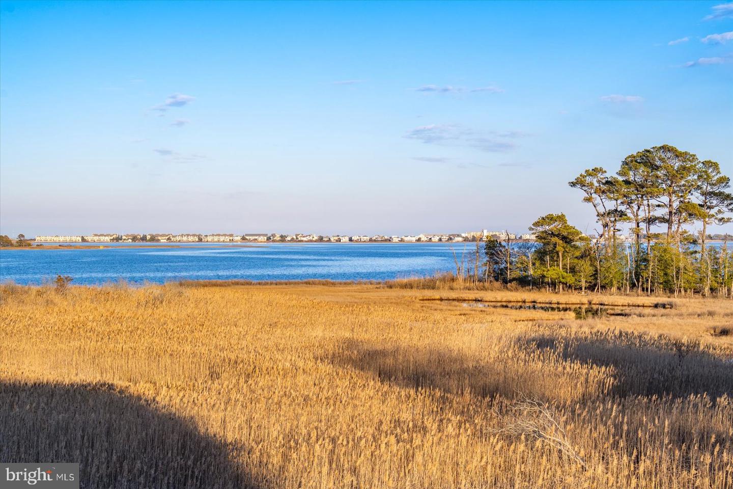 DESU2105552-804578483624-2026-03-21-21-24-28 38312 Ocean Vista Dr #1082 | Selbyville, DE Real Estate For Sale | MLS# Desu2105552  - Jack Lingo REALTOR