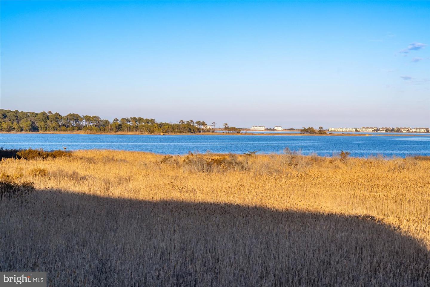 DESU2105552-804578483694-2026-03-21-21-24-30 38312 Ocean Vista Dr #1082 | Selbyville, DE Real Estate For Sale | MLS# Desu2105552  - Jack Lingo REALTOR