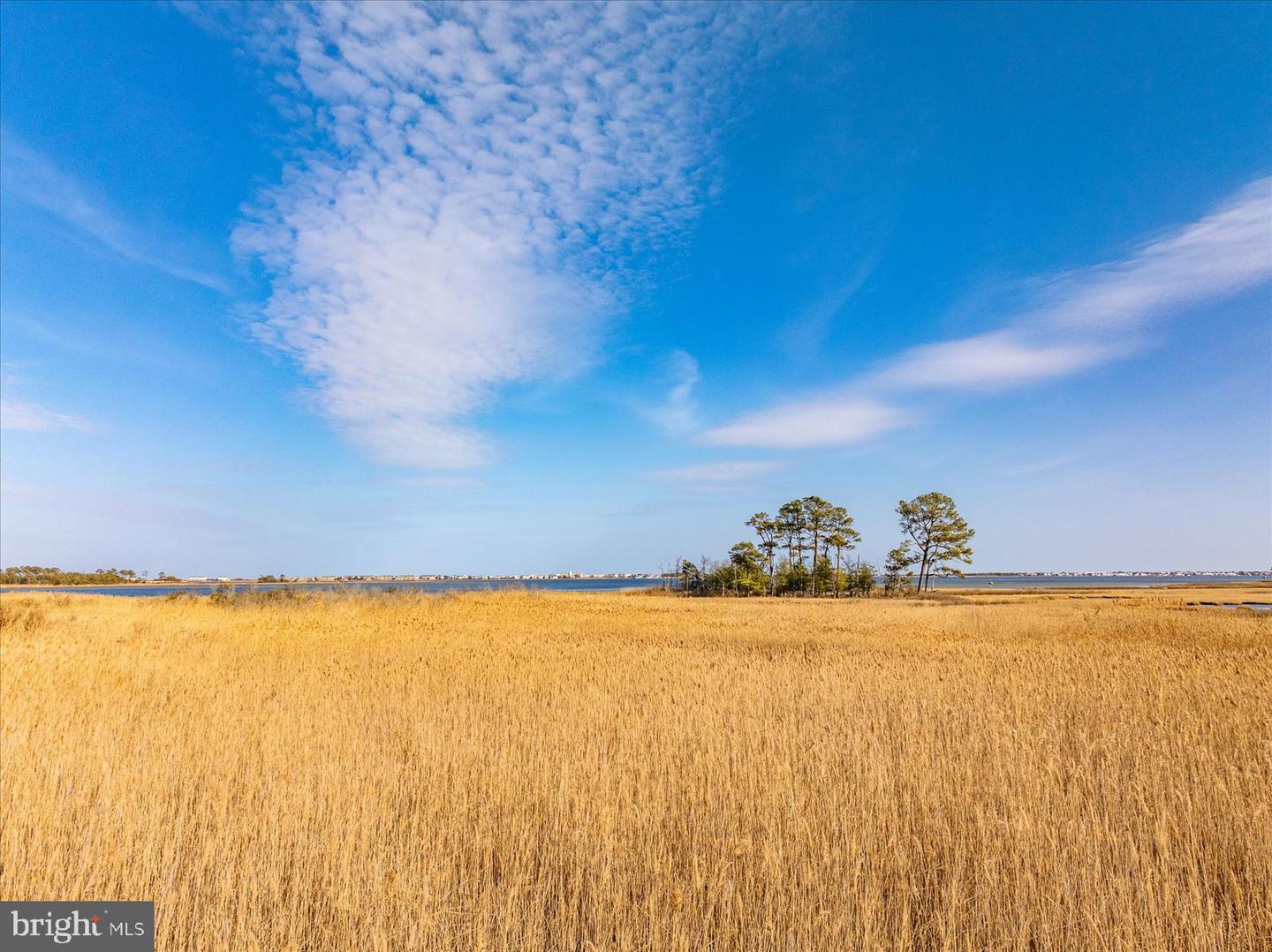 DESU2105552-804578484006-2026-03-21-21-24-25 38312 Ocean Vista Dr #1082 | Selbyville, DE Real Estate For Sale | MLS# Desu2105552  - Jack Lingo REALTOR