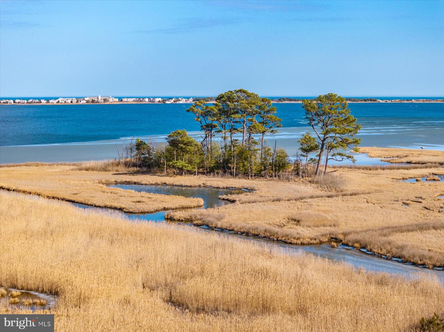 DESU2105552-804578484310-2026-03-21-21-24-28 38312 Ocean Vista Dr #1082 | Selbyville, DE Real Estate For Sale | MLS# Desu2105552  - Jack Lingo REALTOR