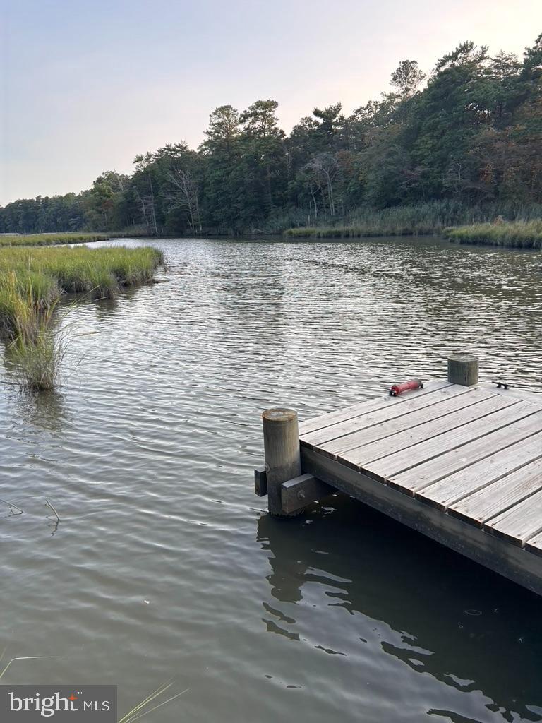 DESU2105612-804594993988-2026-04-06-16-47-25 19165 Chartres St | Lewes, DE Real Estate For Sale | MLS# Desu2105612  - Jack Lingo REALTOR