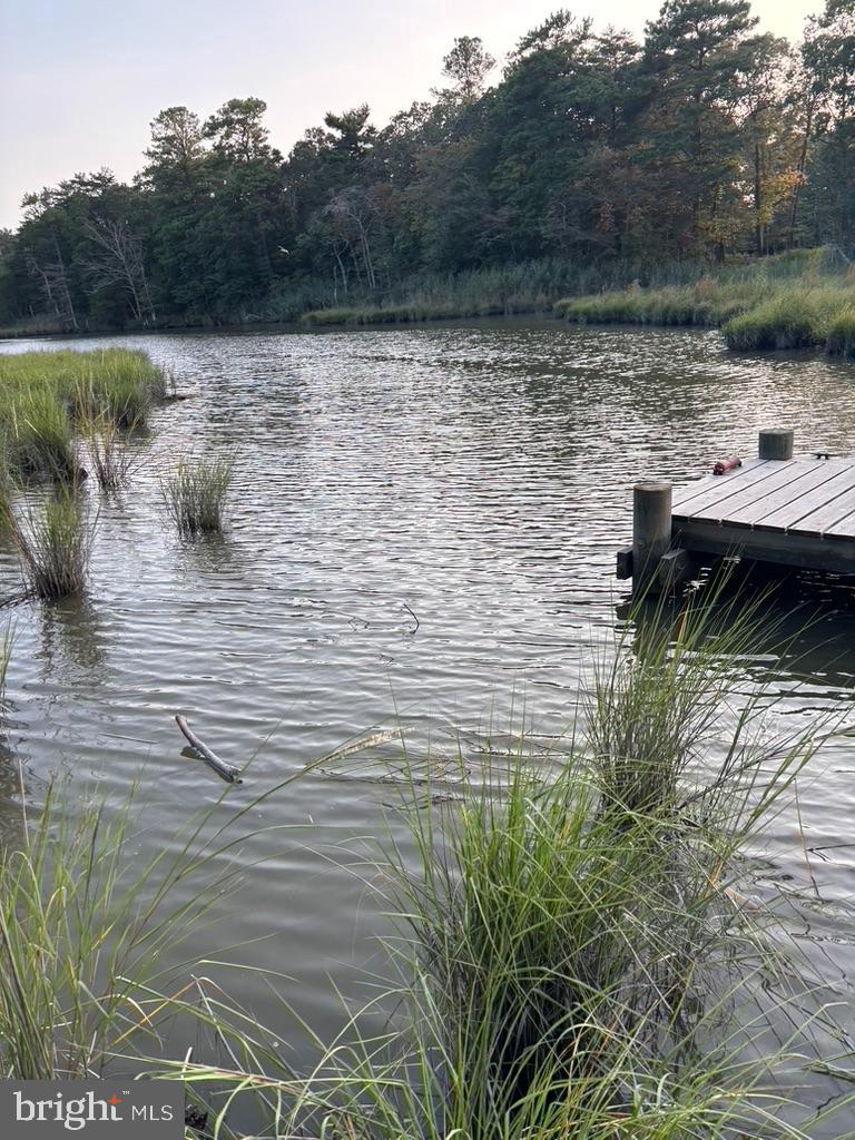 DESU2105612-804594994636-2026-03-06-10-07-41 19165 Chartres St | Lewes, DE Real Estate For Sale | MLS# Desu2105612  - Jack Lingo REALTOR