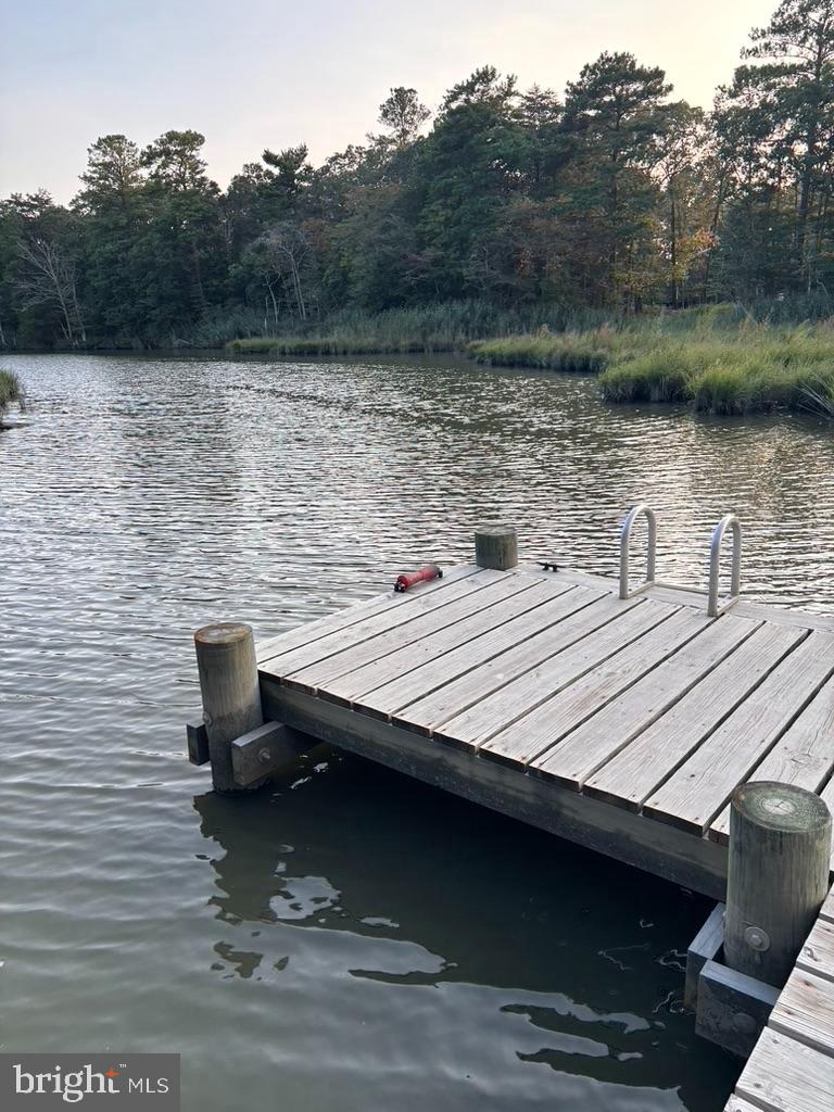 DESU2105612-804594995394-2026-03-06-10-07-39 19165 Chartres St | Lewes, DE Real Estate For Sale | MLS# Desu2105612  - Jack Lingo REALTOR