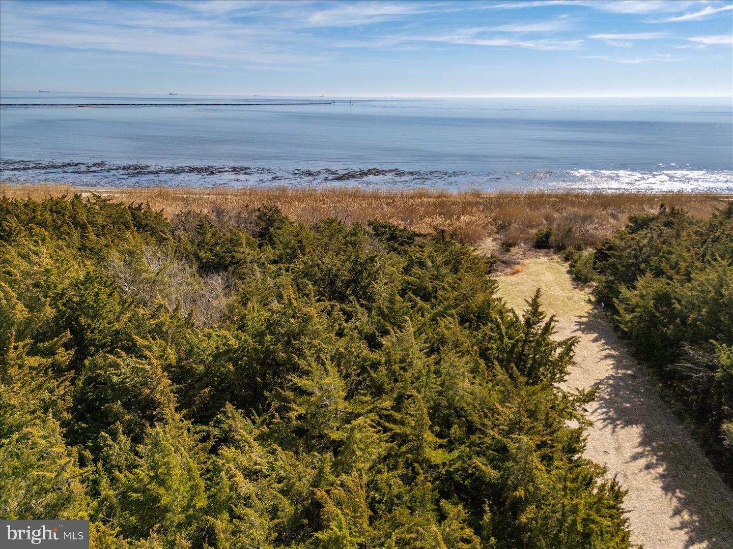 DESU2105674-804622944732-2026-03-11-13-12-05 106 Blue Heron | Milford, DE Real Estate For Sale | MLS# Desu2105674 - Jack Lingo REALTOR DESU2105674-804622944732-2026-03-11-13-12-05 106 Blue Heron | Milford, DE Real Estate For Sale | MLS# Desu2105674 - Jack Lingo REALTOR