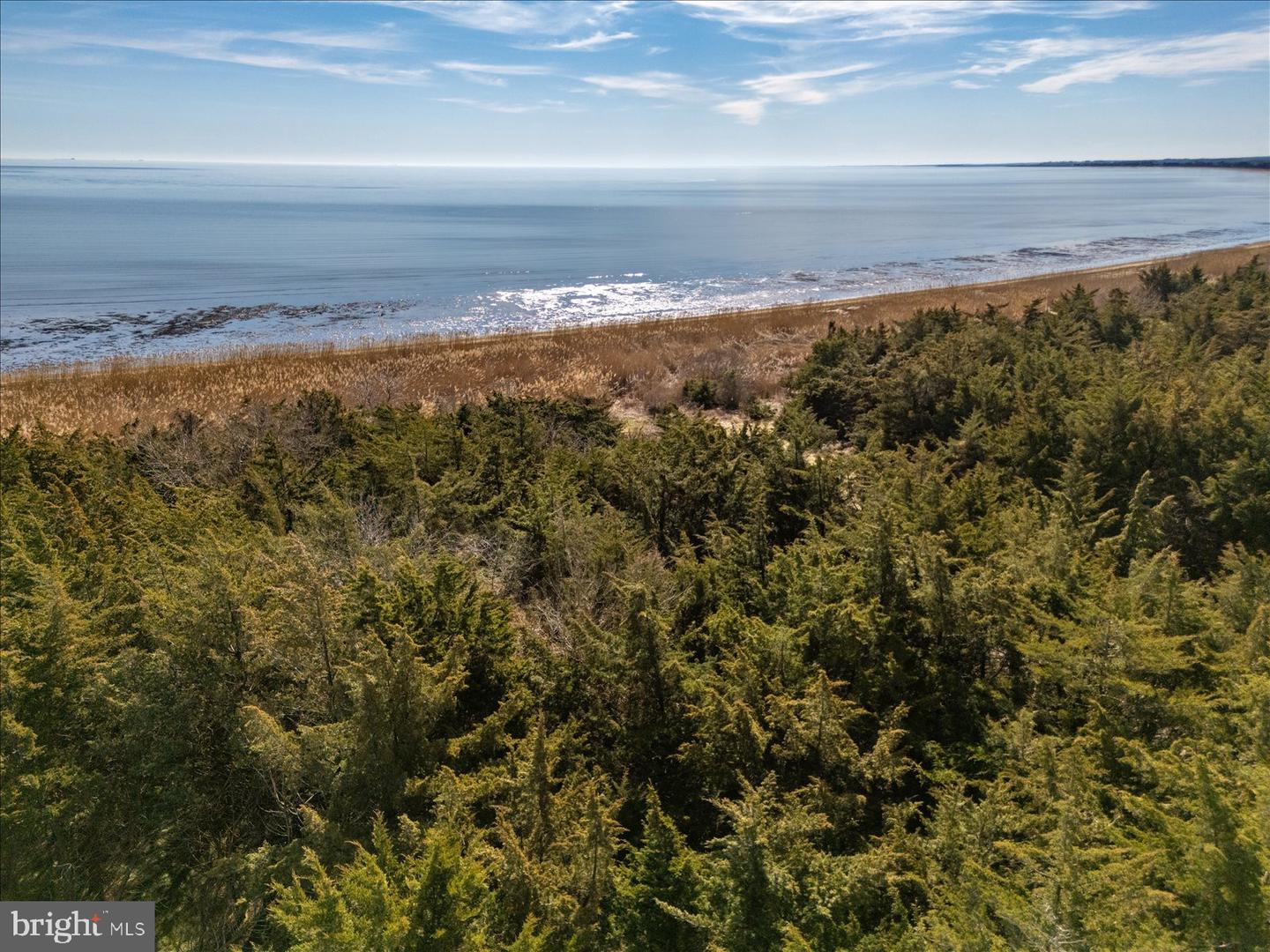 DESU2105674-804622944738-2026-03-11-19-25-34 106 Blue Heron | Milford, DE Real Estate For Sale | MLS# Desu2105674 - Jack Lingo REALTOR DESU2105674-804622944738-2026-03-11-19-25-34 106 Blue Heron | Milford, DE Real Estate For Sale | MLS# Desu2105674 - Jack Lingo REALTOR