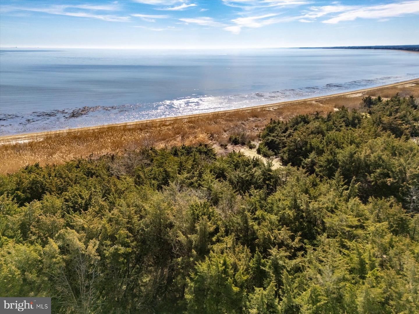 DESU2105674-804622949236-2026-03-11-13-12-21 106 Blue Heron | Milford, DE Real Estate For Sale | MLS# Desu2105674 - Jack Lingo REALTOR DESU2105674-804622949236-2026-03-11-13-12-21 106 Blue Heron | Milford, DE Real Estate For Sale | MLS# Desu2105674 - Jack Lingo REALTOR