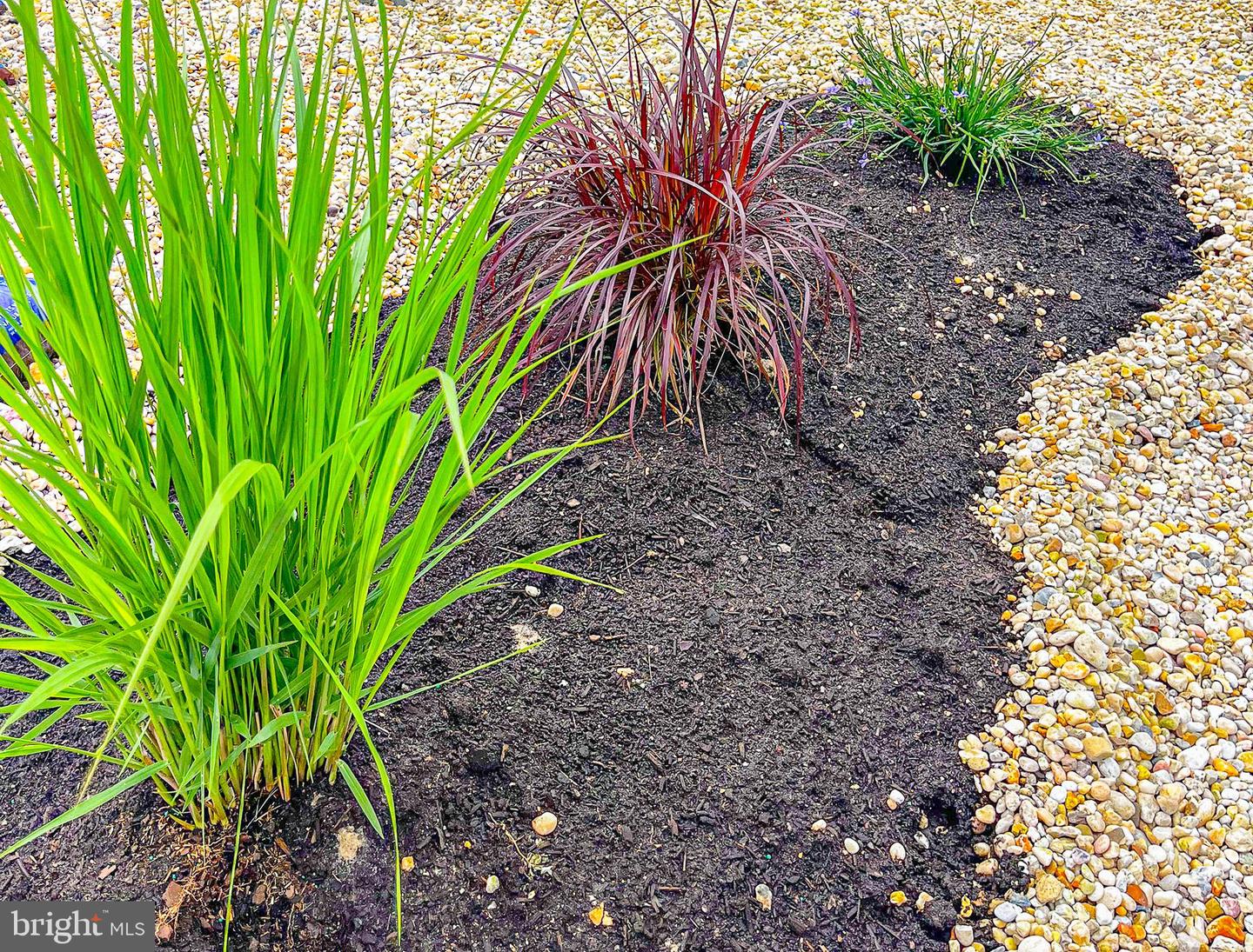 DESU2105710-804561579518-2026-02-25-14-11-10 26738 Otter Way #7 | Long Neck, DE Real Estate For Sale | MLS# Desu2105710  - Jack Lingo REALTOR