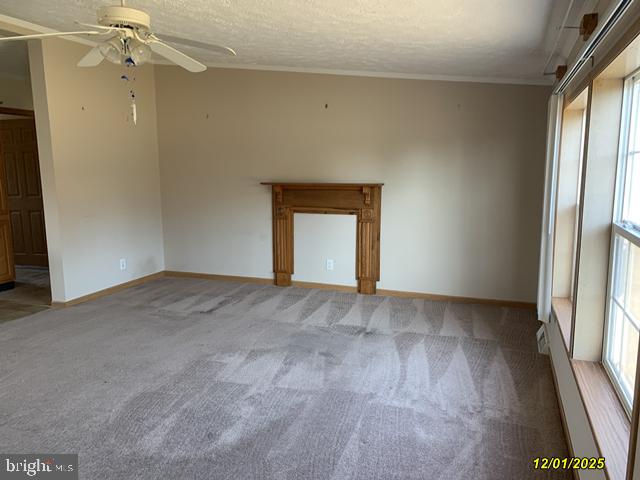 DESU2105758-804575883454-2026-03-12-10-40-18 12656 N Union Church Rd | Ellendale, DE Real Estate For Sale | MLS# Desu2105758  - Jack Lingo REALTOR