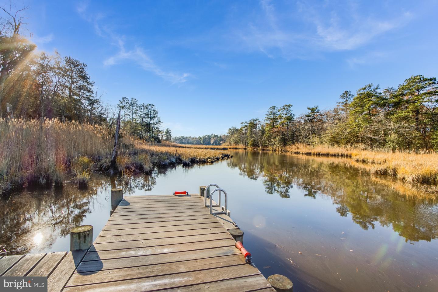 DESU2105858-804567747632-2026-03-04-00-12-03 21153 Conti St | Lewes, DE Real Estate For Sale | MLS# Desu2105858  - Jack Lingo REALTOR