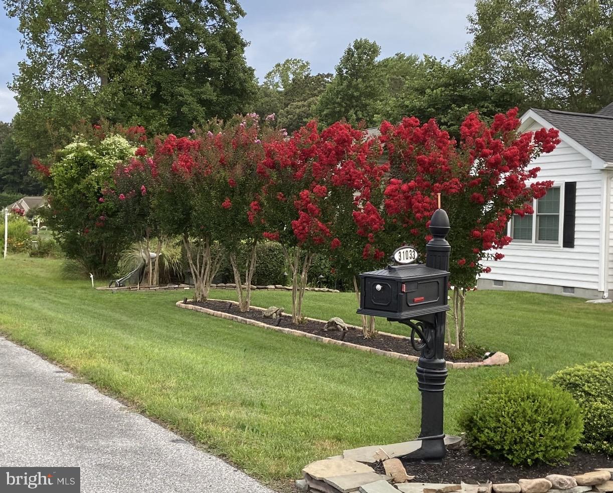 DESU2105952-804629092358-2026-03-25-10-09-21 31033 Meadow Dr | Lewes, DE Real Estate For Sale | MLS# Desu2105952 - Jack Lingo REALTOR DESU2105952-804629092358-2026-03-25-10-09-21 31033 Meadow Dr | Lewes, DE Real Estate For Sale | MLS# Desu2105952 - Jack Lingo REALTOR