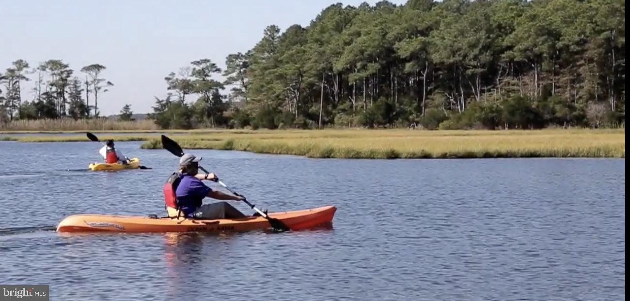 DESU2105992-804594949320-2026-03-25-13-48-47 38896 Blue Indigo Rd | Selbyville, DE Real Estate For Sale | MLS# Desu2105992  - Jack Lingo REALTOR