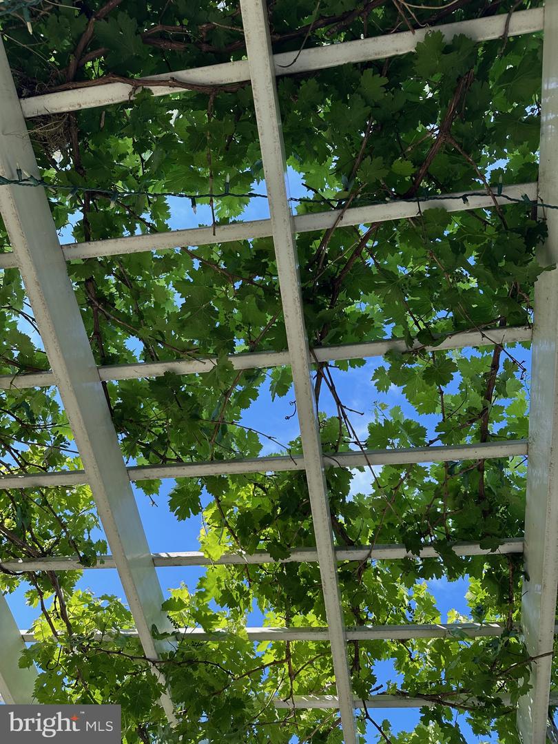 DESU2106076-804705964120-2026-03-31-17-06-41 29003 Saint Lucia Blvd | Millsboro, DE Real Estate For Sale | MLS# Desu2106076  - Jack Lingo REALTOR