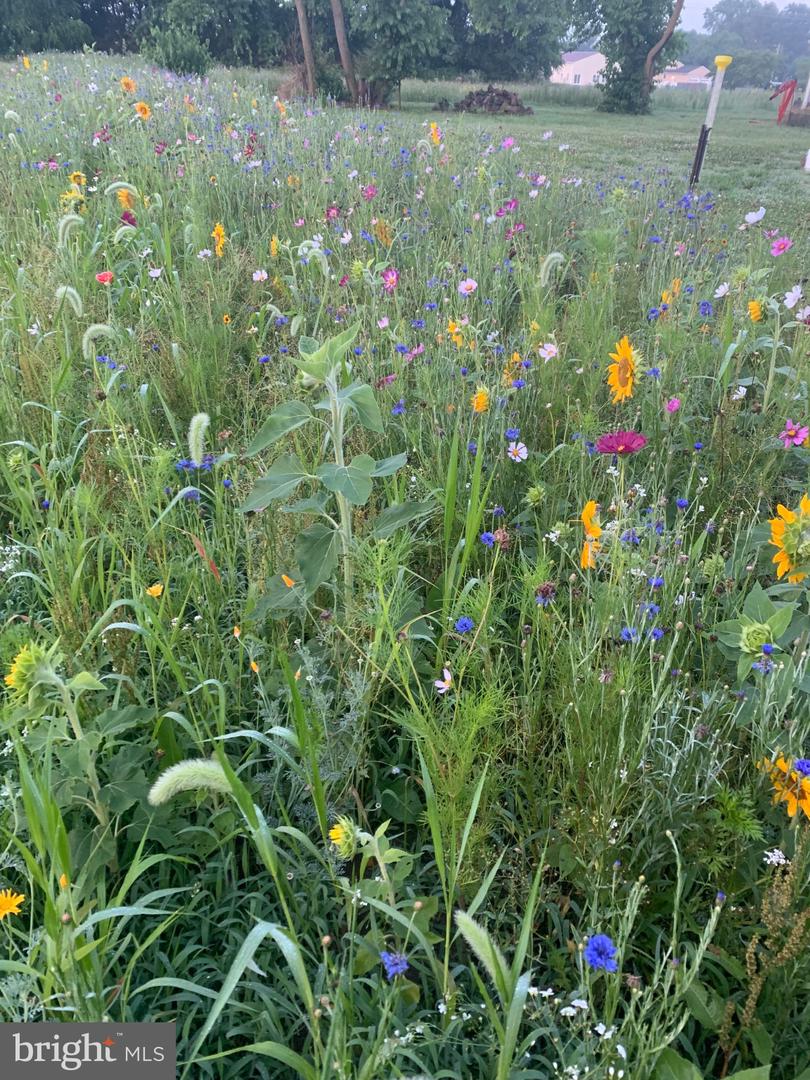 DESU2106144-804629804904-2026-03-12-15-47-51 7299 Marshall St | Lincoln, DE Real Estate For Sale | MLS# Desu2106144  - Jack Lingo REALTOR