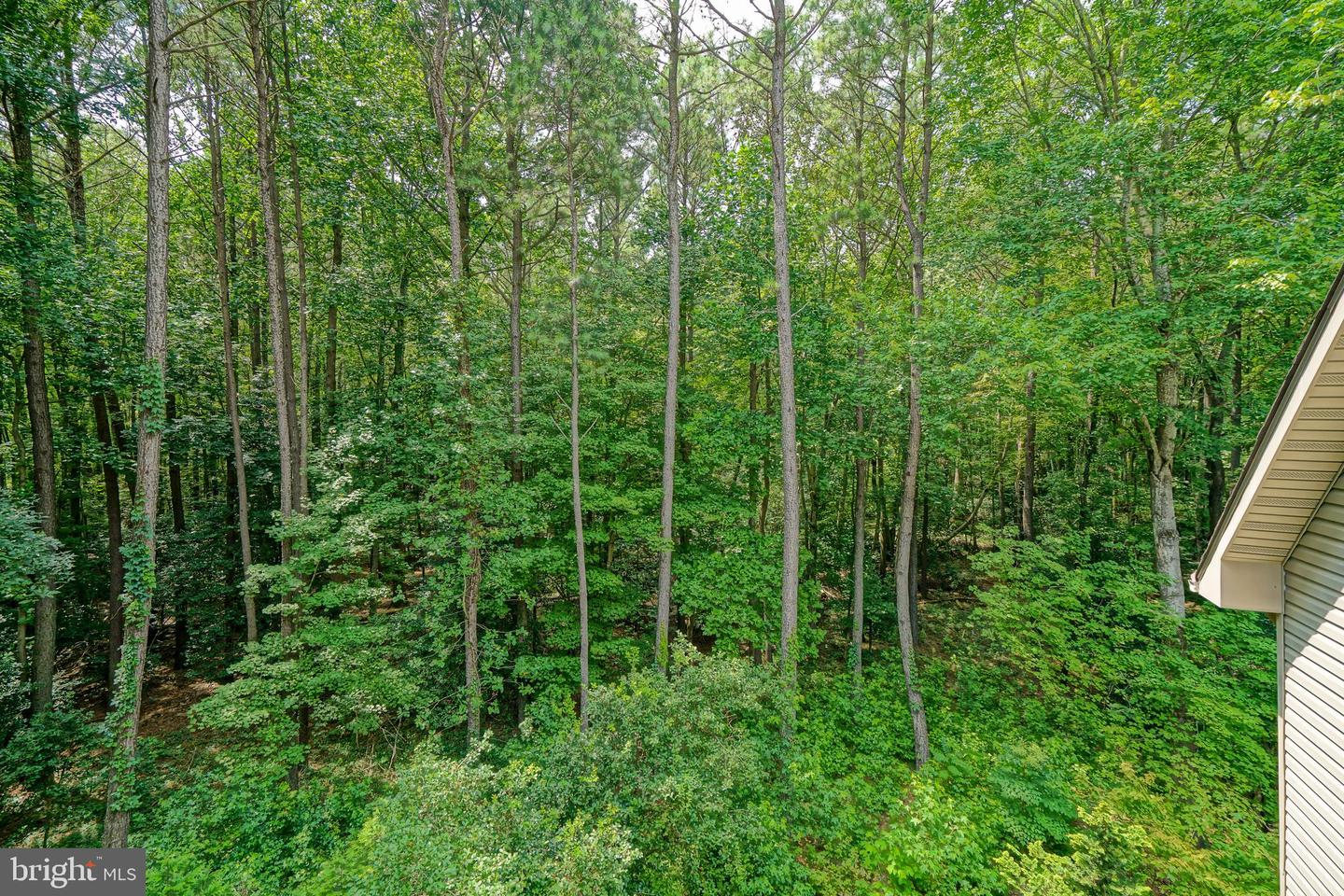 DESU2106276-804590306834-2026-03-06-15-58-50 23761 Winding Way | Milton, DE Real Estate For Sale | MLS# Desu2106276 - Jack Lingo REALTOR DESU2106276-804590306834-2026-03-06-15-58-50 23761 Winding Way | Milton, DE Real Estate For Sale | MLS# Desu2106276 - Jack Lingo REALTOR