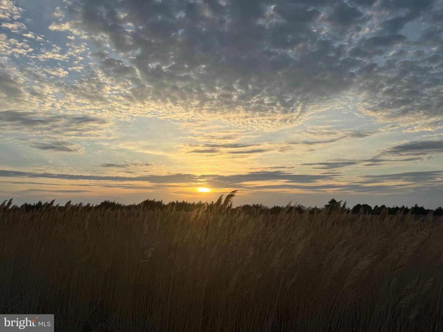 DESU2106636-804610395856-2026-03-10-17-55-40 2 Florida Ave | Milton, DE Real Estate For Sale | MLS# Desu2106636  - Jack Lingo REALTOR