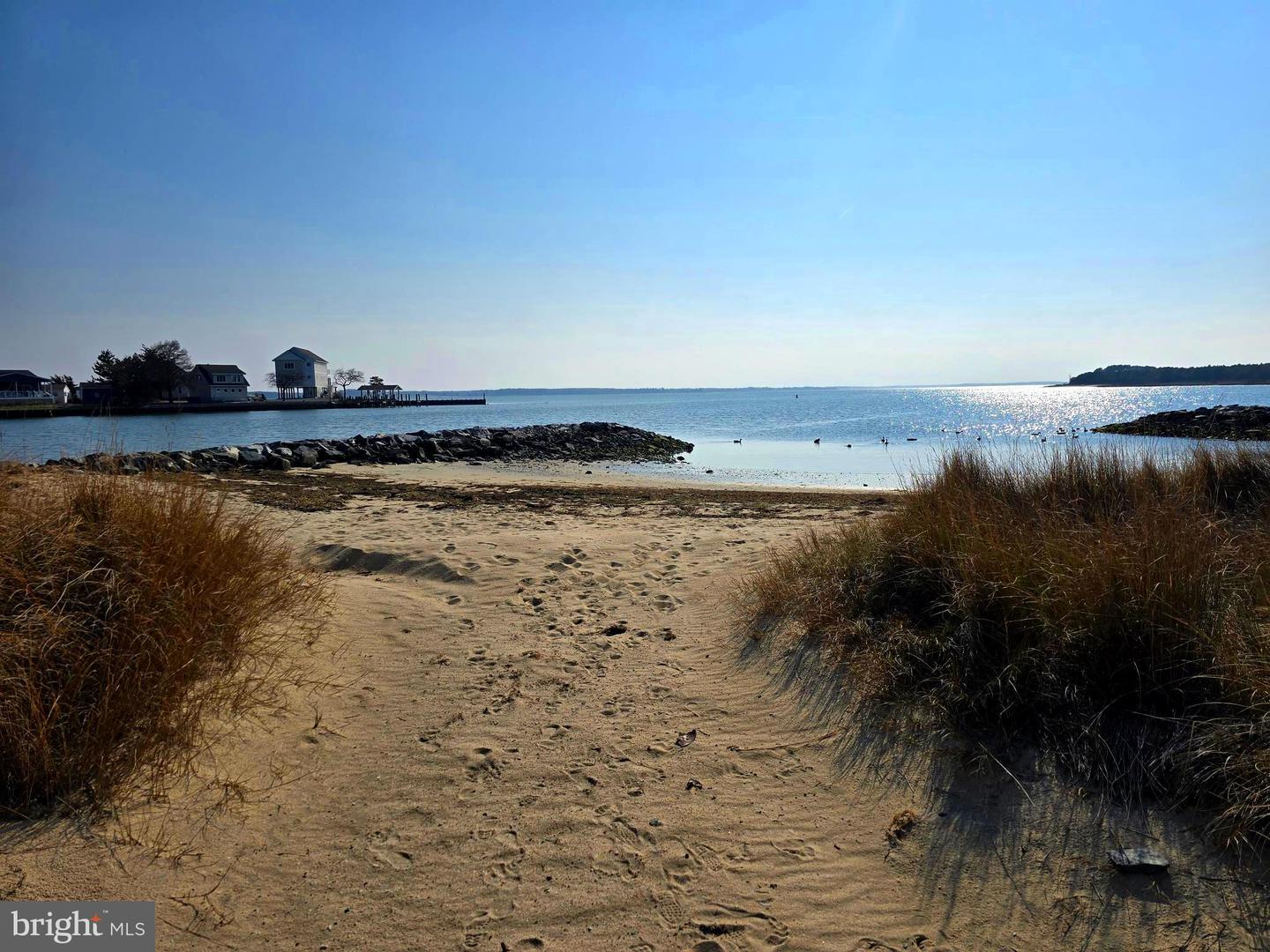 DESU2106656-804670763490-2026-03-23-00-14-09 26809 Sunset Strip | Millsboro, DE Real Estate For Sale | MLS# Desu2106656  - Jack Lingo REALTOR