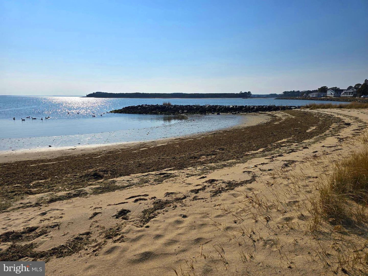 DESU2106656-804670763504-2026-03-23-00-14-10 26809 Sunset Strip | Millsboro, DE Real Estate For Sale | MLS# Desu2106656  - Jack Lingo REALTOR