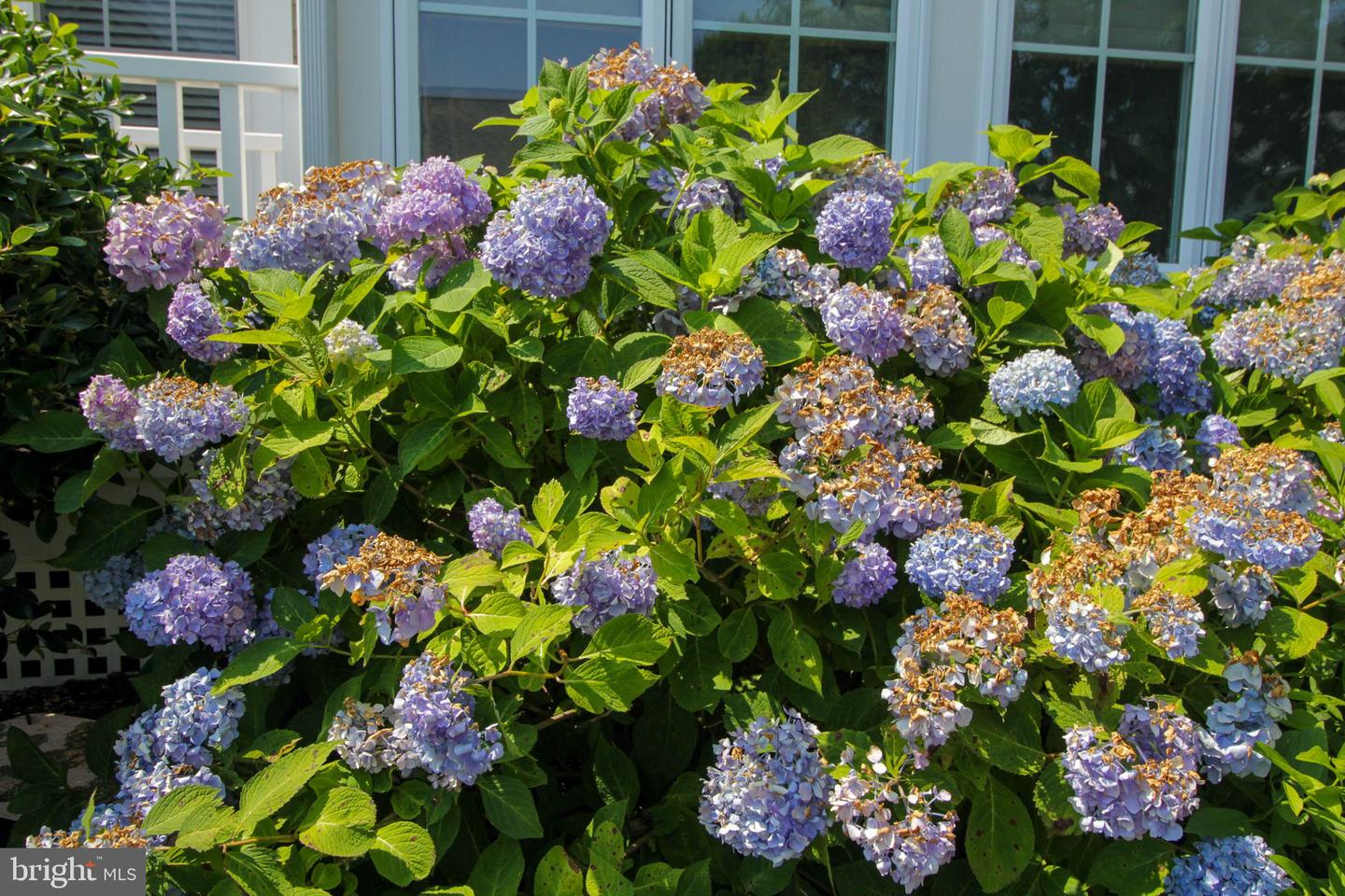 DESU2106678-804612780768-2026-03-10-11-52-34 24965 Crooked Stick Way #4343 | Long Neck, DE Real Estate For Sale | MLS# Desu2106678  - Jack Lingo REALTOR