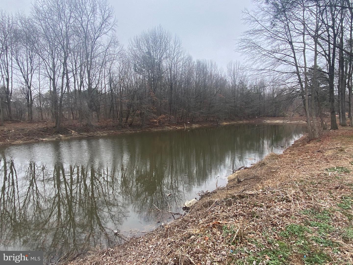 DESU2106742-804614511762-2026-03-22-15-53-42 9415 Cherry Tree Ln | Seaford, DE Real Estate For Sale | MLS# Desu2106742 - Jack Lingo REALTOR DESU2106742-804614511762-2026-03-22-15-53-42 9415 Cherry Tree Ln | Seaford, DE Real Estate For Sale | MLS# Desu2106742 - Jack Lingo REALTOR