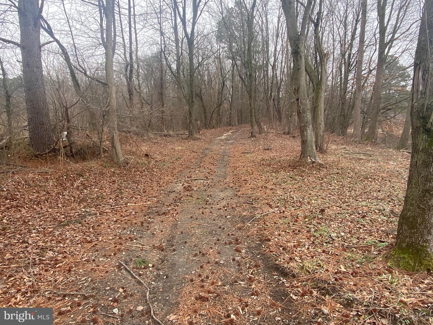 DESU2106742-804614513248-2026-03-22-15-53-42 9415 Cherry Tree Ln | Seaford, DE Real Estate For Sale | MLS# Desu2106742 - Jack Lingo REALTOR DESU2106742-804614513248-2026-03-22-15-53-42 9415 Cherry Tree Ln | Seaford, DE Real Estate For Sale | MLS# Desu2106742 - Jack Lingo REALTOR