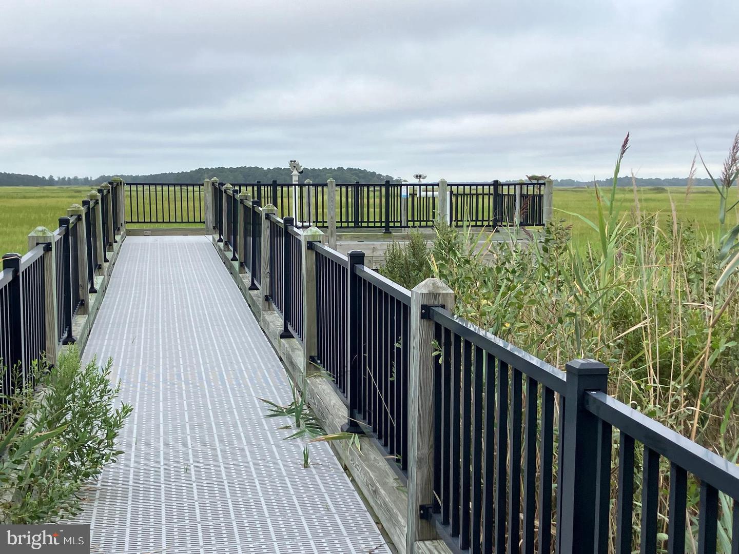 DESU2106974-804623623216-2026-03-11-14-38-38 Lot 517 Beach Plum Drive | Milford, DE Real Estate For Sale | MLS# Desu2106974  - Jack Lingo REALTOR