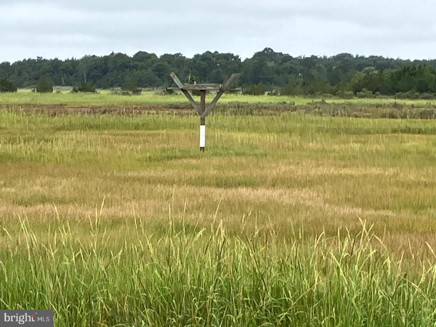 DESU2106974-804623623836-2026-03-11-14-38-38 Lot 517 Beach Plum Drive | Milford, DE Real Estate For Sale | MLS# Desu2106974  - Jack Lingo REALTOR