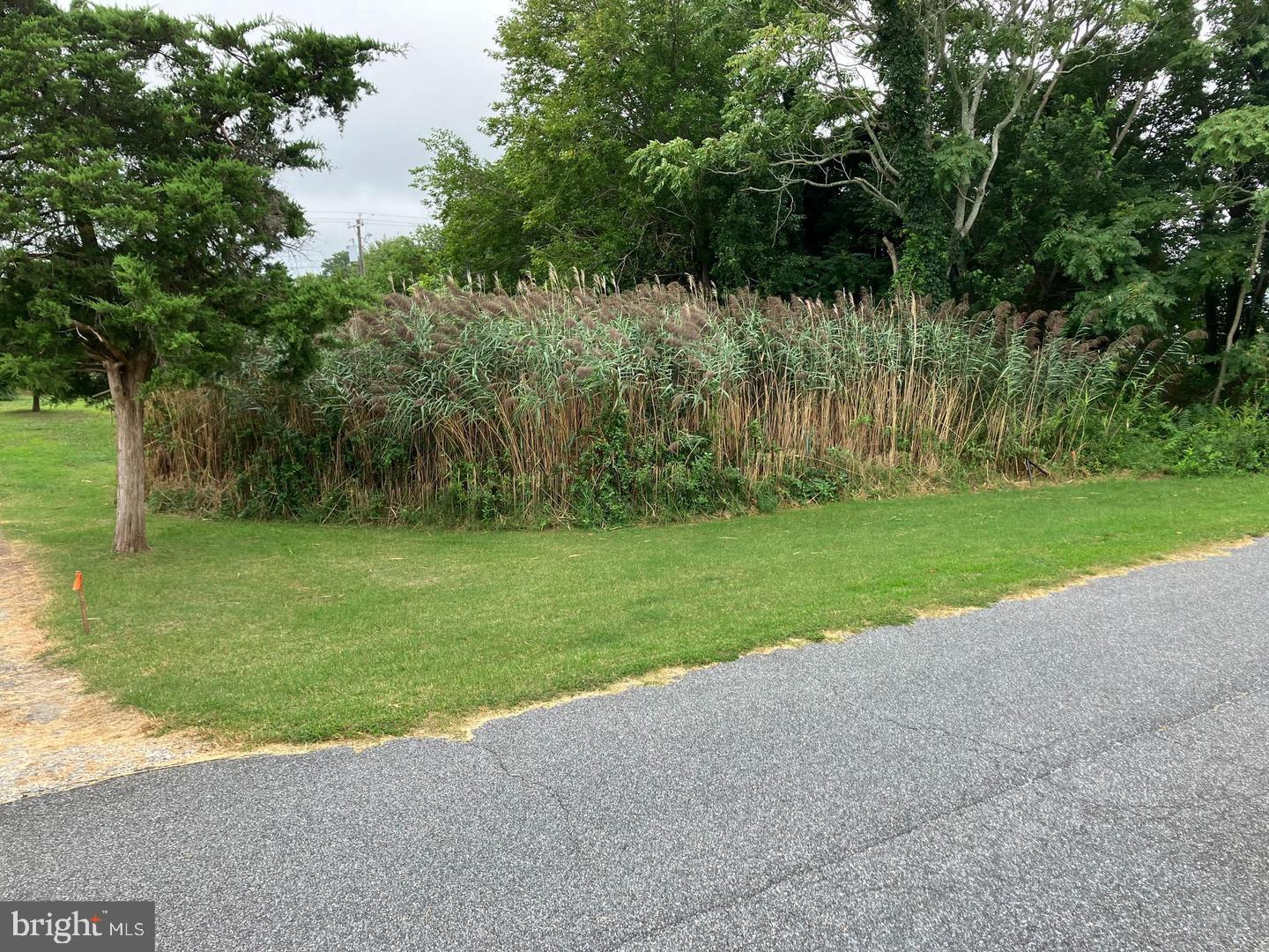 DESU2106974-804623625052-2026-03-11-14-38-38 Lot 517 Beach Plum Drive | Milford, DE Real Estate For Sale | MLS# Desu2106974  - Jack Lingo REALTOR