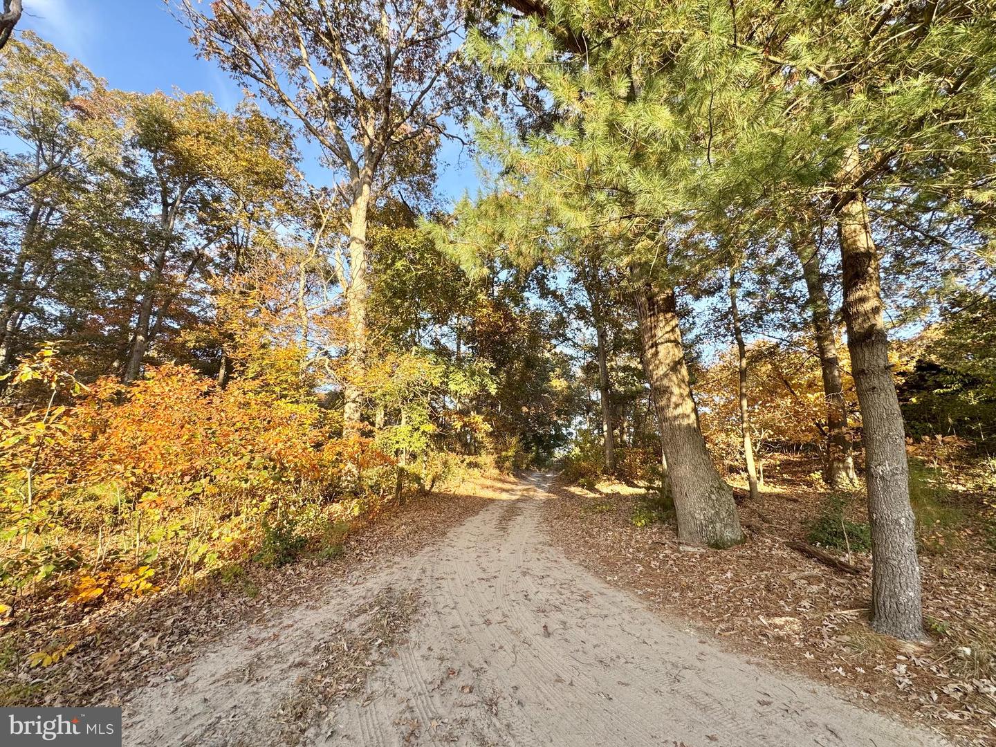 DESU2107198-804633960598-2026-03-13-13-51-19 31568 Mount Pleasant Rd | Laurel, DE Real Estate For Sale | MLS# Desu2107198 - Jack Lingo REALTOR DESU2107198-804633960598-2026-03-13-13-51-19 31568 Mount Pleasant Rd | Laurel, DE Real Estate For Sale | MLS# Desu2107198 - Jack Lingo REALTOR