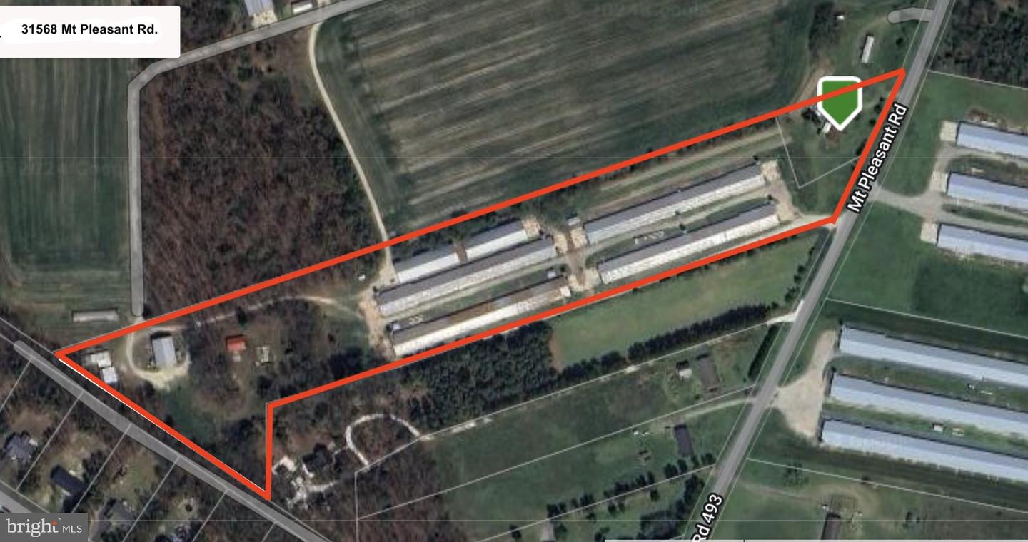DESU2107198-804633960642-2026-03-13-13-51-19 31568 Mount Pleasant Rd | Laurel, DE Real Estate For Sale | MLS# Desu2107198 - Jack Lingo REALTOR DESU2107198-804633960642-2026-03-13-13-51-19 31568 Mount Pleasant Rd | Laurel, DE Real Estate For Sale | MLS# Desu2107198 - Jack Lingo REALTOR