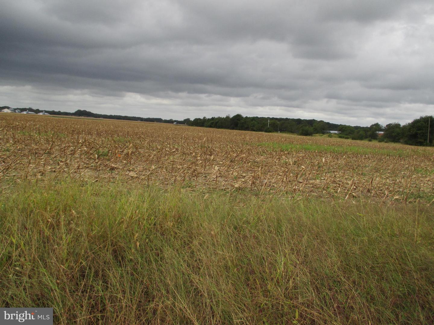 DESU2107220-804637206738-2026-03-14-09-23-52 Lot 6 Gray Road | Dagsboro, DE Real Estate For Sale | MLS# Desu2107220 - Jack Lingo REALTOR DESU2107220-804637206738-2026-03-14-09-23-52 Lot 6 Gray Road | Dagsboro, DE Real Estate For Sale | MLS# Desu2107220 - Jack Lingo REALTOR