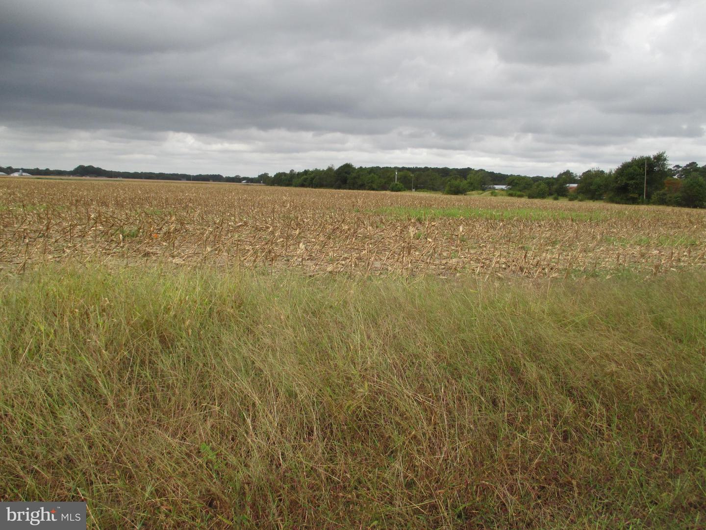 DESU2107220-804637206748-2026-03-14-09-23-52 Lot 6 Gray Road | Dagsboro, DE Real Estate For Sale | MLS# Desu2107220 - Jack Lingo REALTOR DESU2107220-804637206748-2026-03-14-09-23-52 Lot 6 Gray Road | Dagsboro, DE Real Estate For Sale | MLS# Desu2107220 - Jack Lingo REALTOR