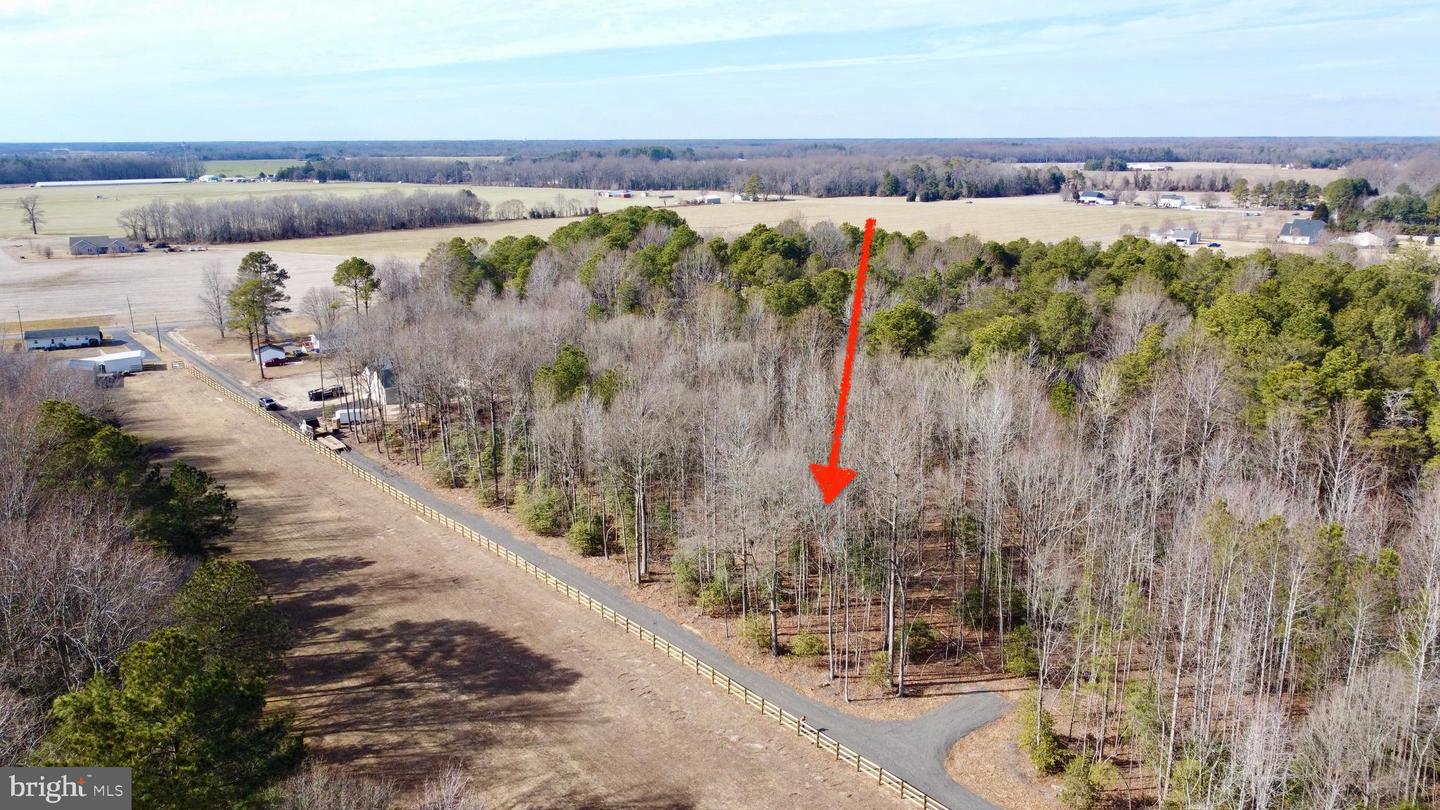 DESU2107242-804639932102-2026-03-20-09-09-42 Lot 1 Megan Joy Rd | Lincoln, DE Real Estate For Sale | MLS# Desu2107242 - Jack Lingo REALTOR DESU2107242-804639932102-2026-03-20-09-09-42 Lot 1 Megan Joy Rd | Lincoln, DE Real Estate For Sale | MLS# Desu2107242 - Jack Lingo REALTOR
