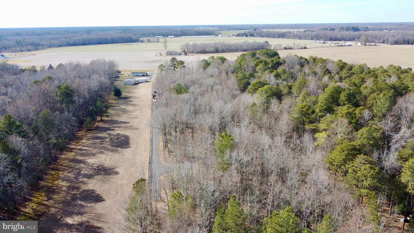 DESU2107242-804639932250-2026-03-20-09-09-43 Lot 1 Megan Joy Rd | Lincoln, DE Real Estate For Sale | MLS# Desu2107242 - Jack Lingo REALTOR DESU2107242-804639932250-2026-03-20-09-09-43 Lot 1 Megan Joy Rd | Lincoln, DE Real Estate For Sale | MLS# Desu2107242 - Jack Lingo REALTOR