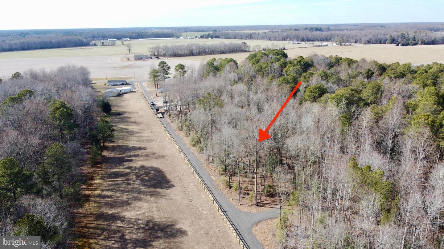 DESU2107242-804639932268-2026-03-20-09-09-43 Lot 1 Megan Joy Rd | Lincoln, DE Real Estate For Sale | MLS# Desu2107242 - Jack Lingo REALTOR DESU2107242-804639932268-2026-03-20-09-09-43 Lot 1 Megan Joy Rd | Lincoln, DE Real Estate For Sale | MLS# Desu2107242 - Jack Lingo REALTOR