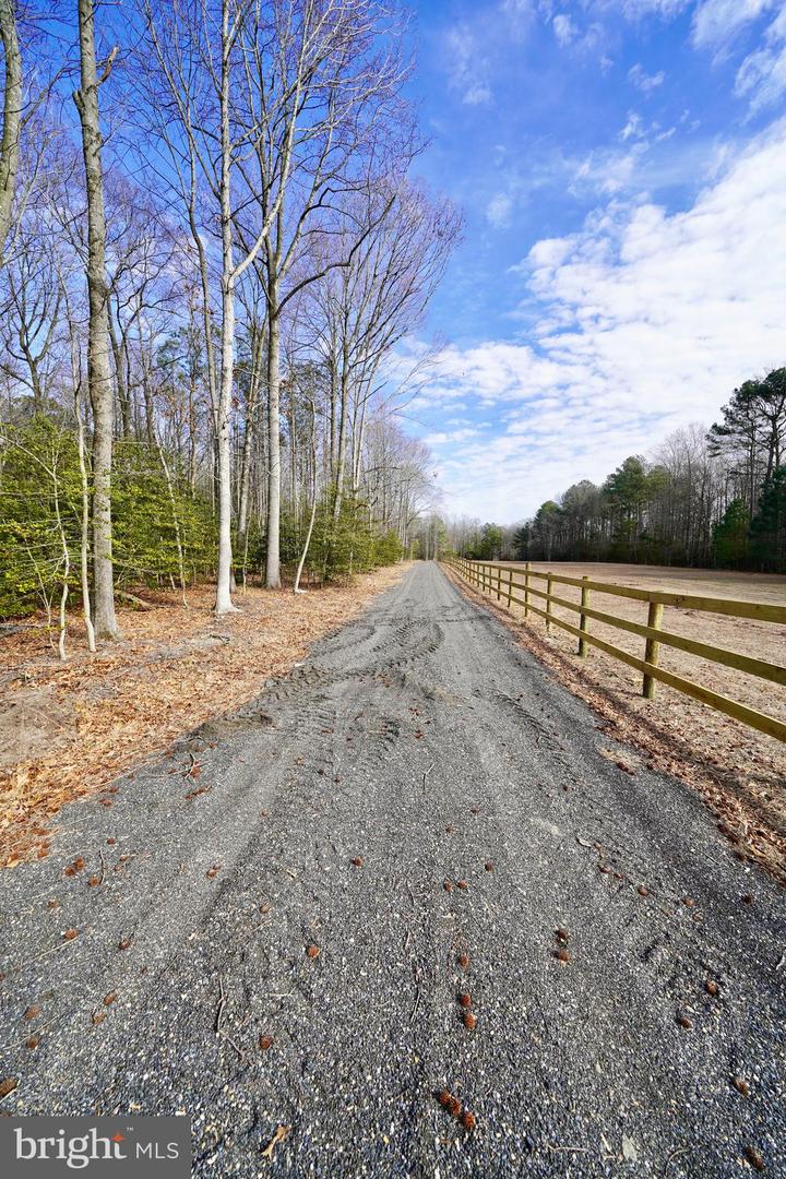 DESU2107242-804639932734-2026-03-20-09-09-42 Lot 1 Megan Joy Rd | Lincoln, DE Real Estate For Sale | MLS# Desu2107242 - Jack Lingo REALTOR DESU2107242-804639932734-2026-03-20-09-09-42 Lot 1 Megan Joy Rd | Lincoln, DE Real Estate For Sale | MLS# Desu2107242 - Jack Lingo REALTOR