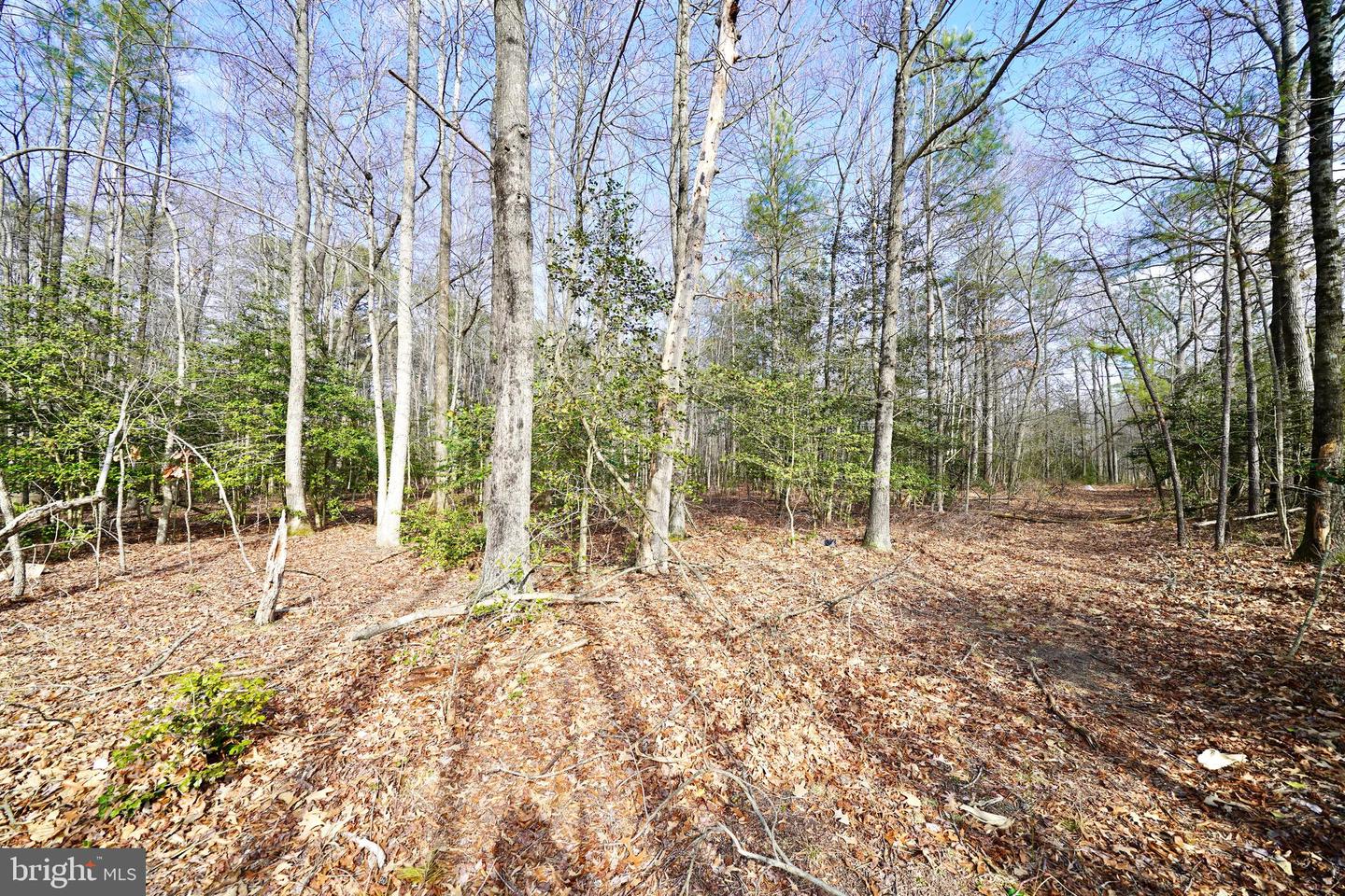 DESU2107242-804639932780-2026-03-20-09-09-42 Lot 1 Megan Joy Rd | Lincoln, DE Real Estate For Sale | MLS# Desu2107242 - Jack Lingo REALTOR DESU2107242-804639932780-2026-03-20-09-09-42 Lot 1 Megan Joy Rd | Lincoln, DE Real Estate For Sale | MLS# Desu2107242 - Jack Lingo REALTOR