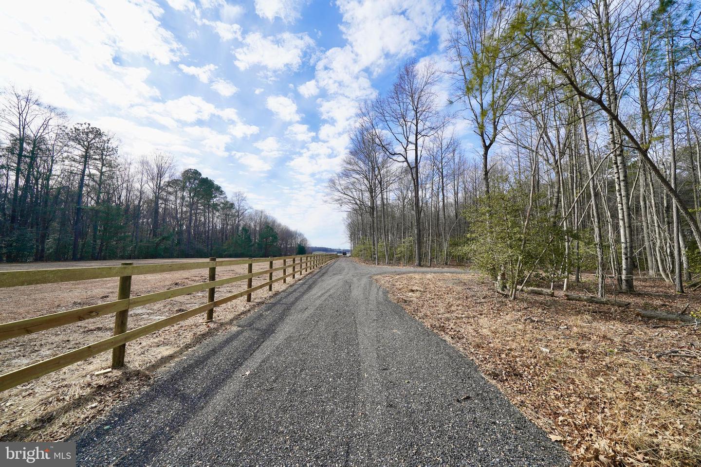 DESU2107242-804639932992-2026-03-20-09-09-42 Lot 1 Megan Joy Rd | Lincoln, DE Real Estate For Sale | MLS# Desu2107242 - Jack Lingo REALTOR DESU2107242-804639932992-2026-03-20-09-09-42 Lot 1 Megan Joy Rd | Lincoln, DE Real Estate For Sale | MLS# Desu2107242 - Jack Lingo REALTOR