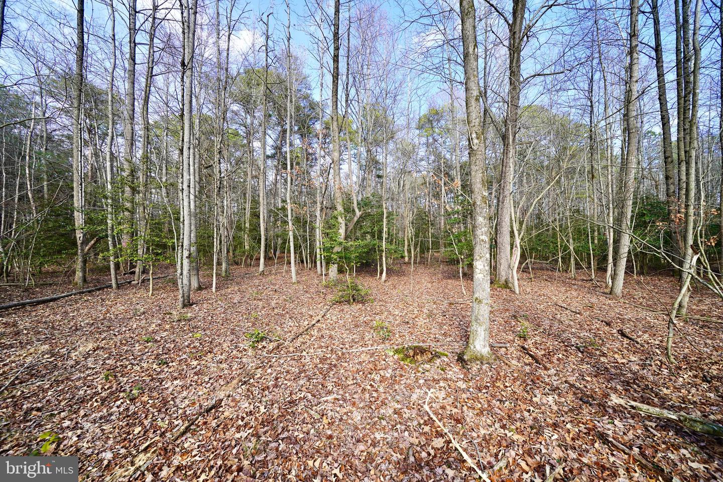 DESU2107242-804639933010-2026-03-20-09-09-42 Lot 1 Megan Joy Rd | Lincoln, DE Real Estate For Sale | MLS# Desu2107242 - Jack Lingo REALTOR DESU2107242-804639933010-2026-03-20-09-09-42 Lot 1 Megan Joy Rd | Lincoln, DE Real Estate For Sale | MLS# Desu2107242 - Jack Lingo REALTOR