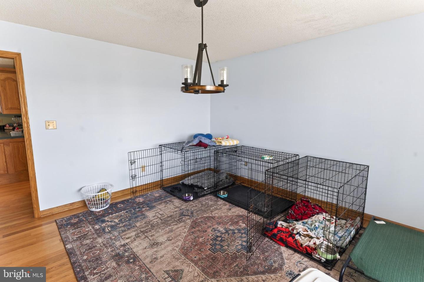 DESU2107272-804640665356-2026-03-15-15-32-35 30077 Fire Tower Rd | Laurel, DE Real Estate For Sale | MLS# Desu2107272  - Jack Lingo REALTOR