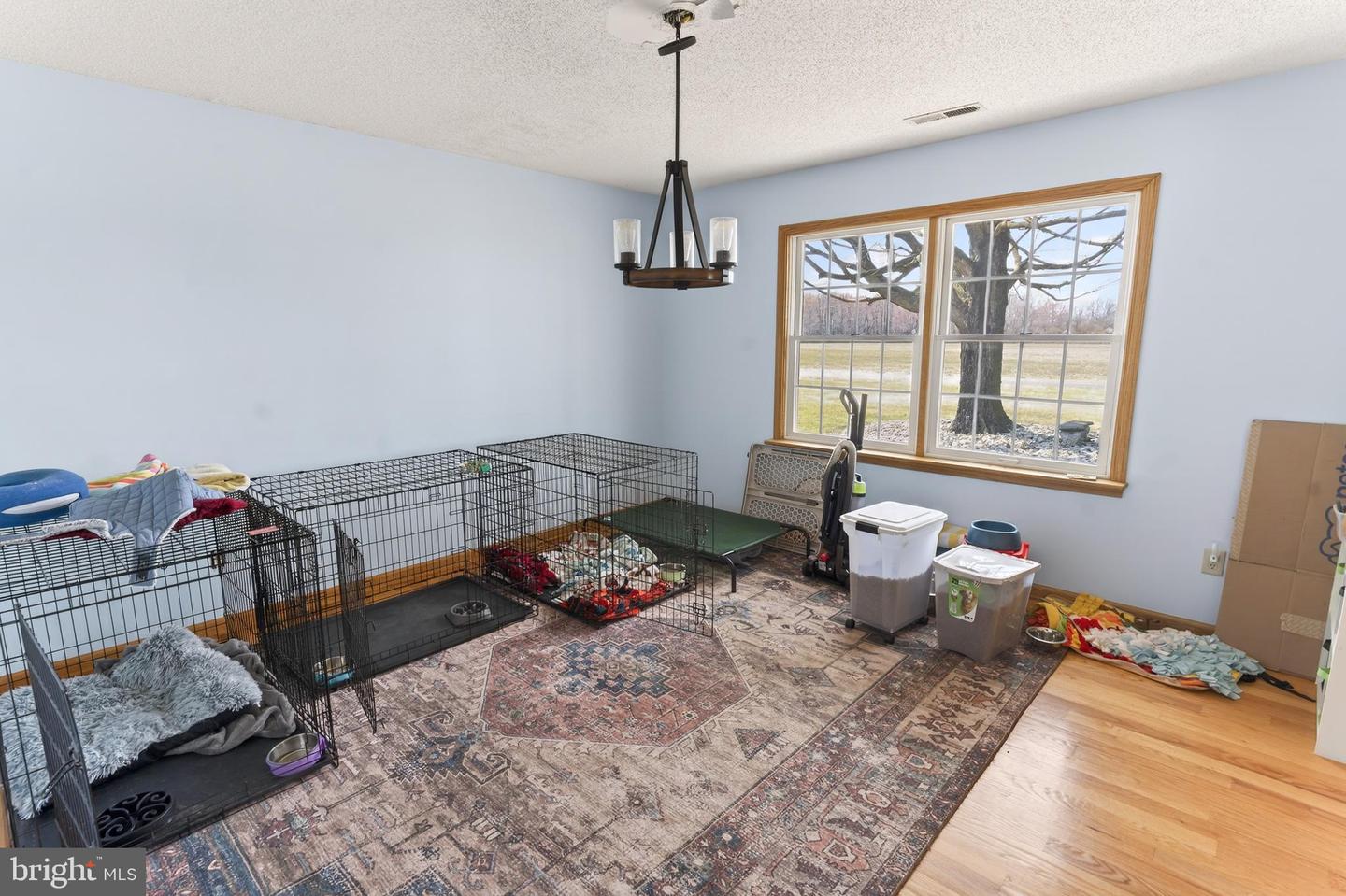 DESU2107272-804640665440-2026-03-15-15-32-33 30077 Fire Tower Rd | Laurel, DE Real Estate For Sale | MLS# Desu2107272  - Jack Lingo REALTOR