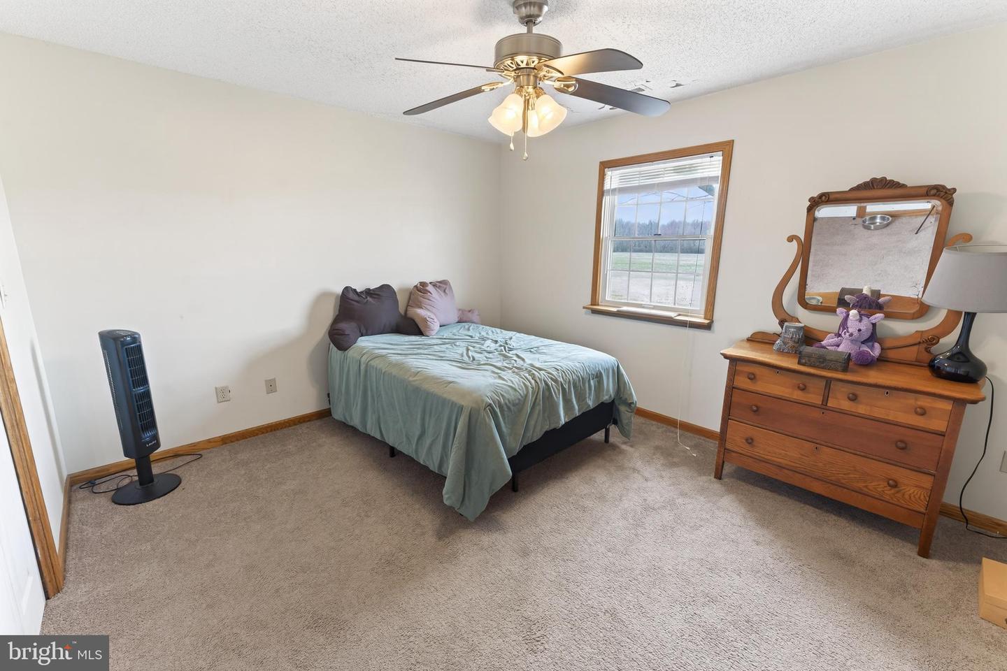 DESU2107272-804640668176-2026-03-15-15-32-35 30077 Fire Tower Rd | Laurel, DE Real Estate For Sale | MLS# Desu2107272  - Jack Lingo REALTOR