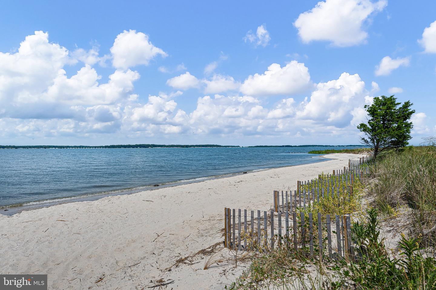 DESU2107294-804678977018-2026-03-26-00-07-03 29073 Ellis Point Ct #46 | Dagsboro, DE Real Estate For Sale | MLS# Desu2107294  - Jack Lingo REALTOR