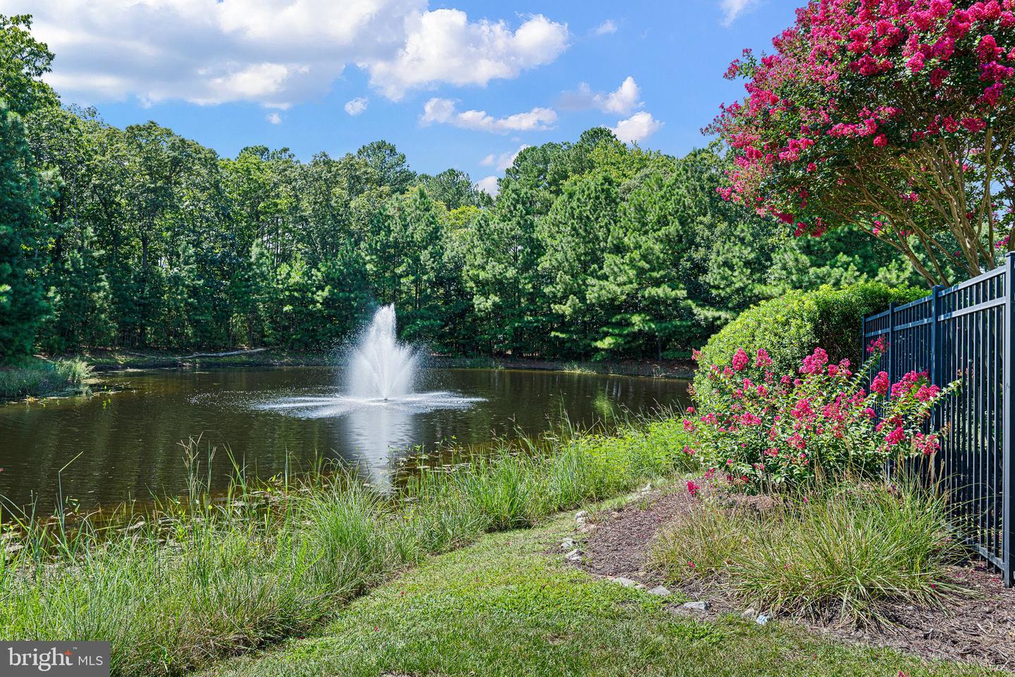 DESU2107294-804678977274-2026-03-26-00-07-03 29073 Ellis Point Ct #46 | Dagsboro, DE Real Estate For Sale | MLS# Desu2107294  - Jack Lingo REALTOR