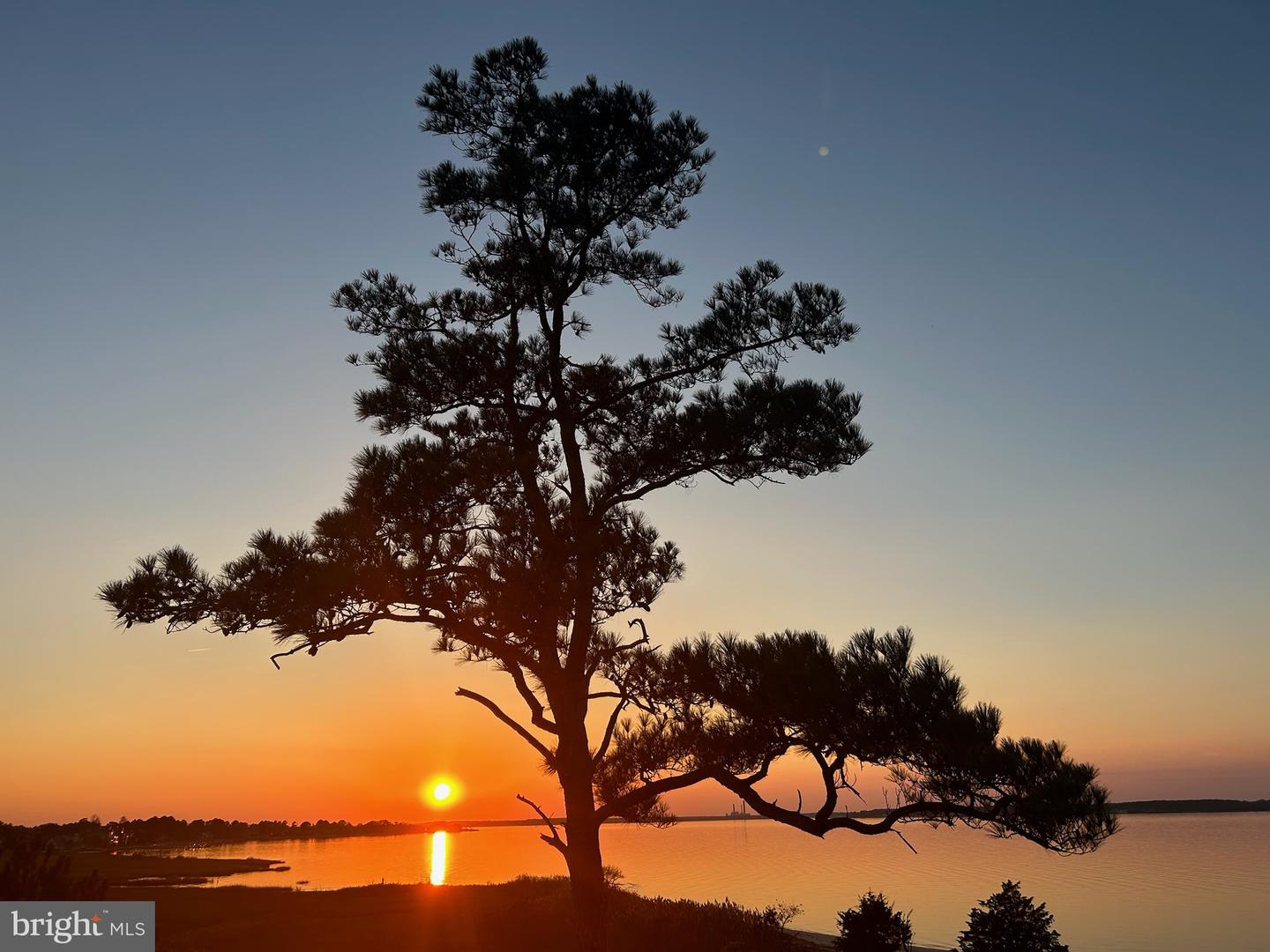 DESU2107294-804678992544-2026-03-26-00-06-57 29073 Ellis Point Ct #46 | Dagsboro, DE Real Estate For Sale | MLS# Desu2107294  - Jack Lingo REALTOR