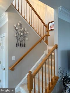 DESU2107414-804647494374-2026-03-19-00-17-32 16251 John Rowland Trl | Milton, DE Real Estate For Sale | MLS# Desu2107414  - Jack Lingo REALTOR