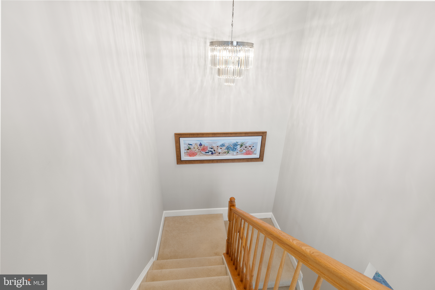 DESU2107414-804647500636-2026-03-19-00-17-29 16251 John Rowland Trl | Milton, DE Real Estate For Sale | MLS# Desu2107414  - Jack Lingo REALTOR