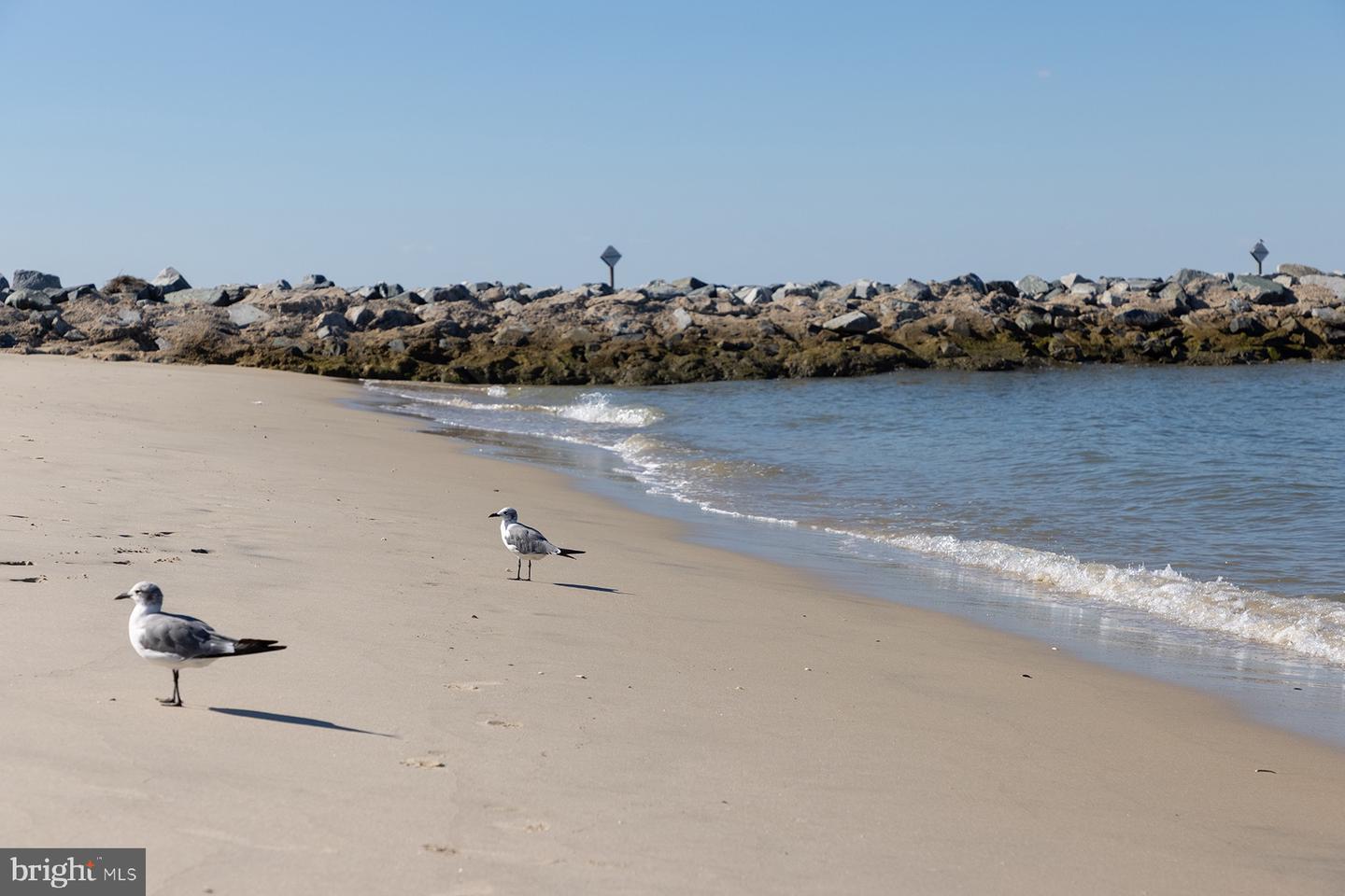 DESU2107436-804653237854-2026-03-19-16-52-25 21379 N Acorn Way | Lewes, DE Real Estate For Sale | MLS# Desu2107436  - Jack Lingo REALTOR