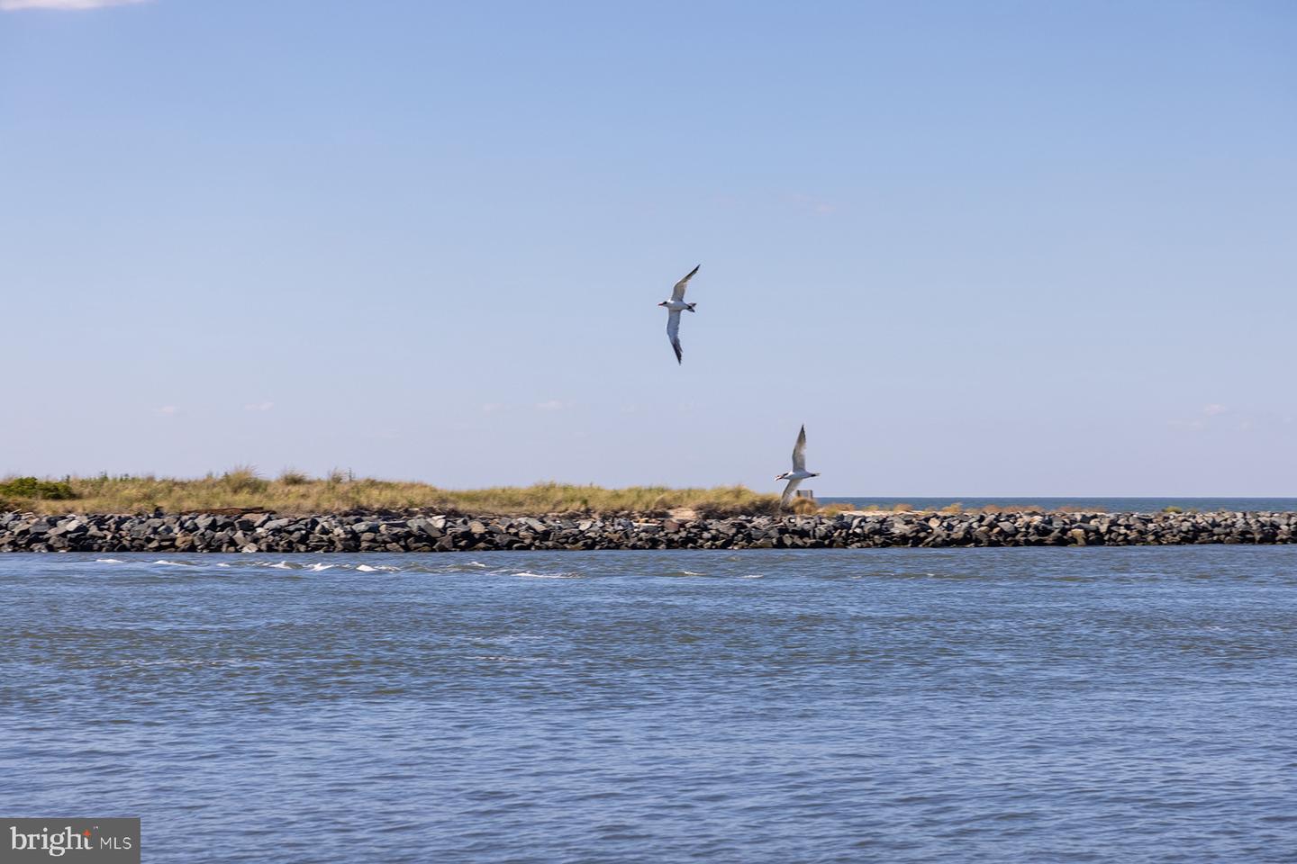 DESU2107436-804653238506-2026-03-19-16-52-23 21379 N Acorn Way | Lewes, DE Real Estate For Sale | MLS# Desu2107436  - Jack Lingo REALTOR