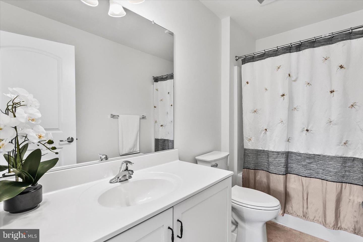 DESU2107444-804653348334-2026-03-19-09-55-24 220 Fox St | Milton, DE Real Estate For Sale | MLS# Desu2107444  - Jack Lingo REALTOR